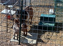 Bonnie was unhappy behind bars.