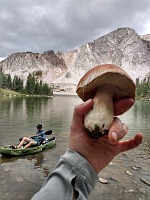 King bolete hunted from a kayak on Lake Marie.