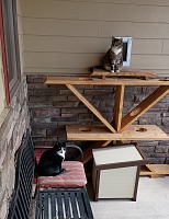 Hugo and Guido hide from Dante in a spot where she won't go - outdoors. Hugo and Guido hide from Dante in a spot where she won't go - outdoors.