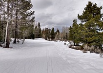 Last Nordic skiing March 31. Last Nordic skiing March 31.
