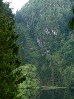 Kossdalssvingane: it's possible to count the switchbacks through this gap in the trees.