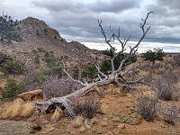 Krajina ovšem vánočně vůbec nevypadá, není sníh.