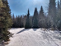 Up in the hills there was more, but grass stuck out of the groomers.
