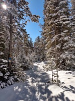 A few inches fell again and that means hurry to ski.