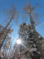 Sun.