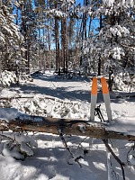 At least so much snow fell that I could get out in the terrain despite obstacles.