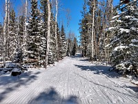 Grooming makes snow dense and increases chances to last longer.