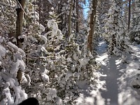 I have to blaze through my favorite shortcut.