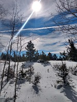 A day later it becomes obvious that sun is winning and snow has no chance.