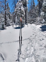 I did not even mind having to walk the rest of the way.