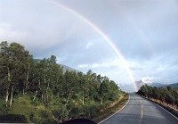 Road And Rainbow