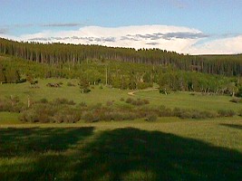 Eagle Park, MT: view from my camping place to the east
