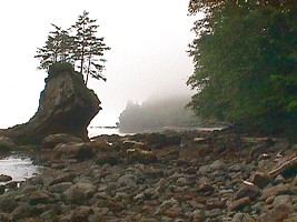 Hazy coast of Olympic Peninsula, WA