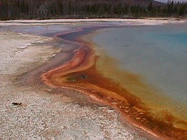 Yellowstone: vývěrové jezírko na Západním Palci